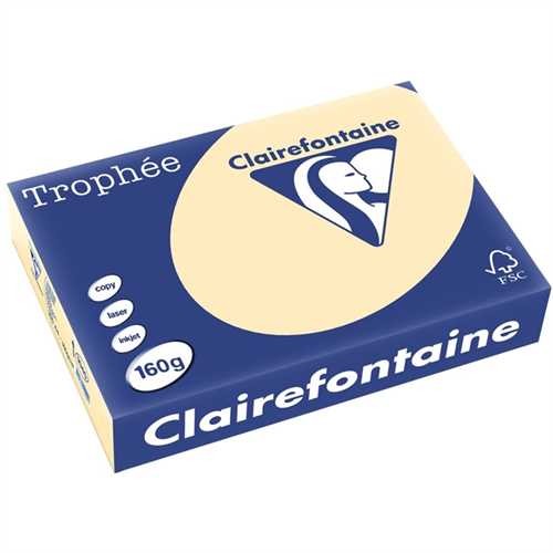 Clairefontaine Multifunktionspapier Trophée, A4, 160 g/m², holzfrei, chamois, pastell (250 Blatt)