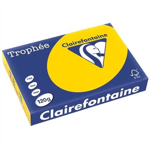 Clairefontaine Multifunktionspapier Trophée, A4, 120 g/m², holzfrei, goldgelb, pastell (250 Blatt)